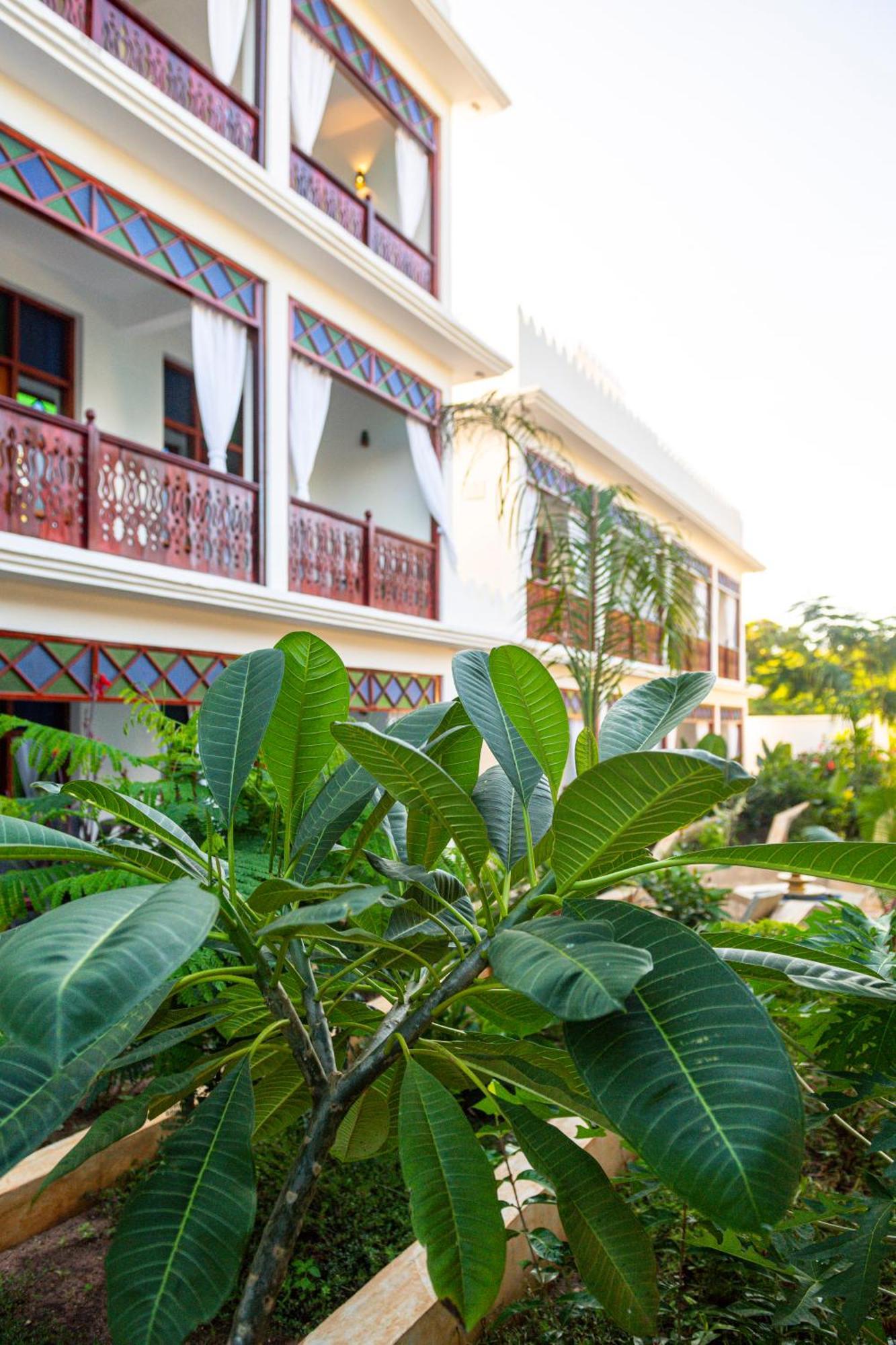 Tasneem Islamic Luxury Suites Jambiani  Bagian luar foto